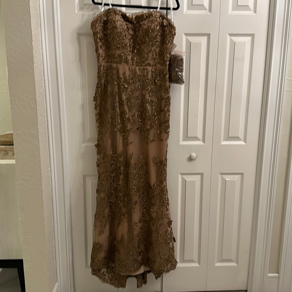 Montage, mother of the bride dress